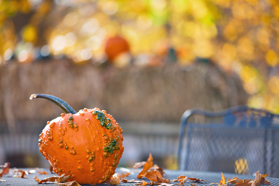 5 Fall Upgrades for Vinyl Patios