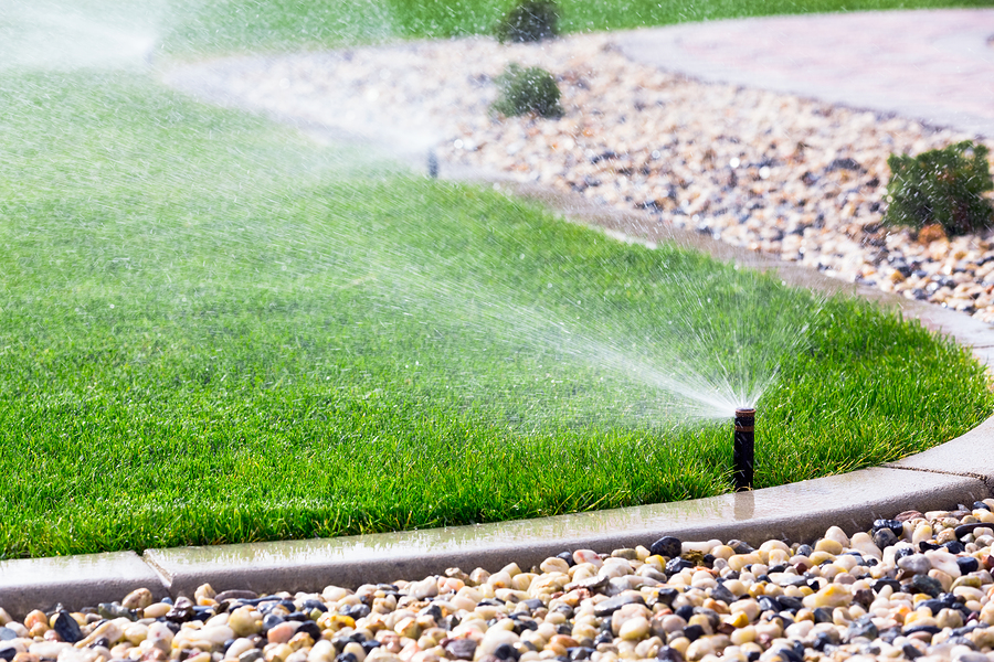 In-ground lawn sprinkler watering a green lawn